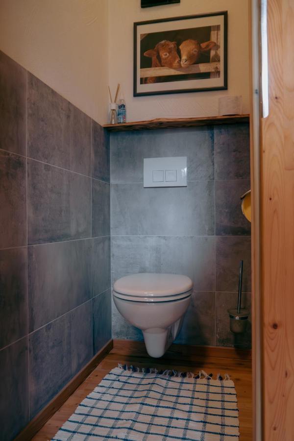 Stangllehen Huette Villa Schladming Dış mekan fotoğraf